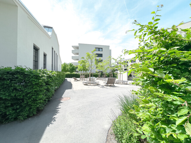 Exklusive Loft-Wohnung im Bäumlequartier in Lochau