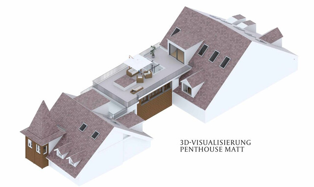 Modernes Denkmal mit Dachterrasse und Lift