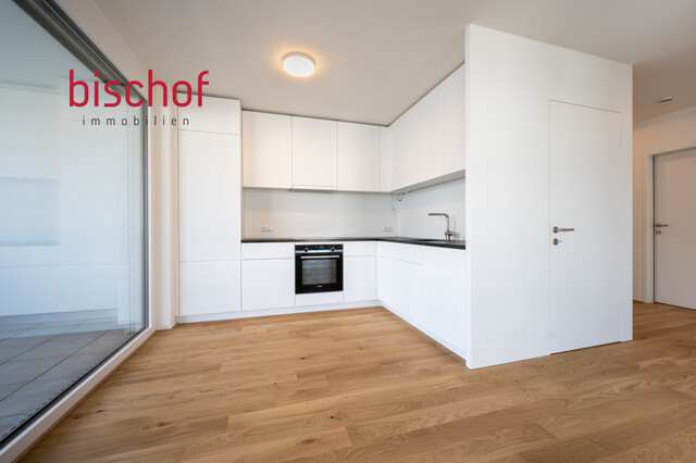 Schöne Wohnung mit grosser Terrasse