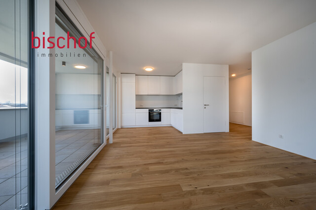 Schöne Wohnung mit grosser Terrasse