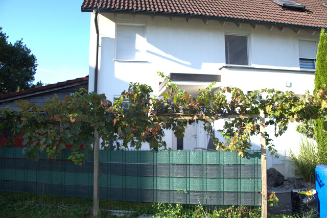 Geräumiges Reihenhaus in bester Sonnenlage, Lustenau, Balkon, Terrasse, Garten, 2 Garagenplätze, Keller und Fahrradabstellraum