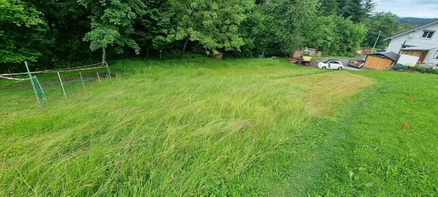 Idyllisches Grundstück in Hohenweiler! Ihr neues Zuhause wartet schon auf Sie!