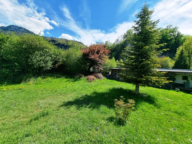 Haus mit großem Grundstück zu verkaufen!