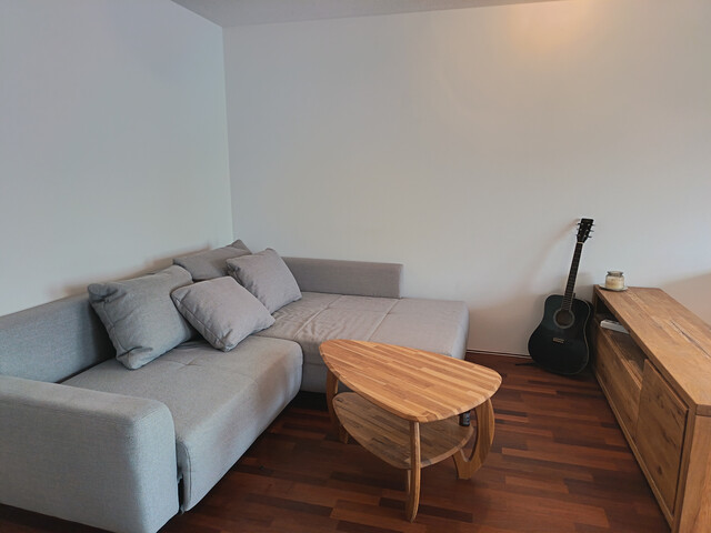 zentral gelegene 2-Zimmer Wohnung - vollmöbliert