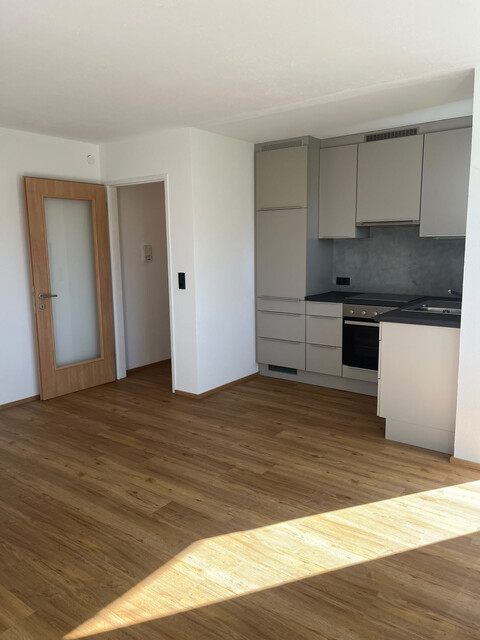 Gemütliches 1-Zimmer-Appartement in Dornbirn-Kastenlangen – Sonnige Ruhelage mit Blick ins Grüne!