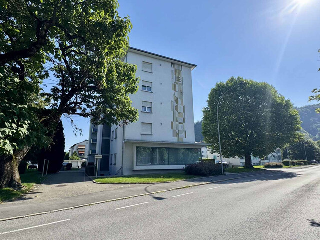 3 Zimmerwohnung mit Platz und Potential