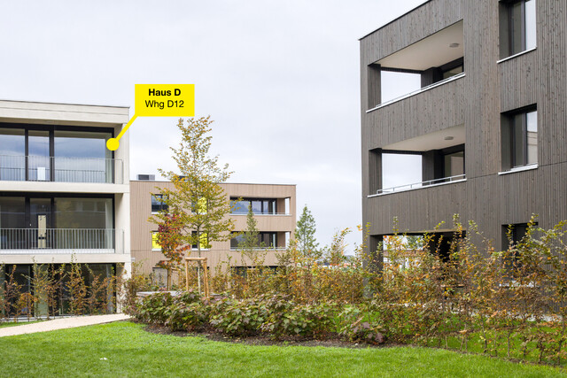 3-Zimmer-Dachgeschosswohnung | D12