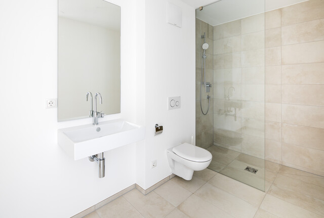 3-Zimmer-Dachgeschosswohnung | D12