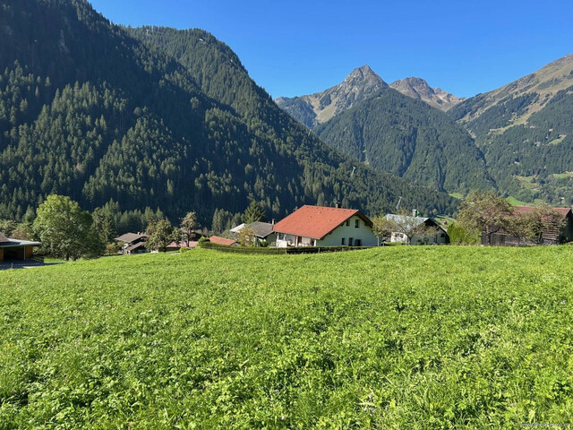 2.702m² sonniges Grundstück in St. Gallenkirch in ruhiger Bestlage oberhalb der Schattengrenze