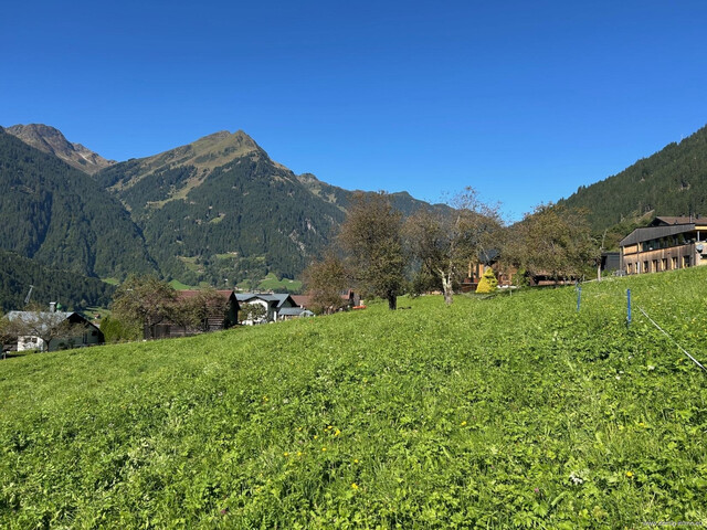 2.702m² sonniges Grundstück in St. Gallenkirch in ruhiger Bestlage oberhalb der Schattengrenze