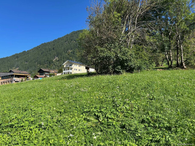 2.702m² sonniges Grundstück in St. Gallenkirch in ruhiger Bestlage oberhalb der Schattengrenze