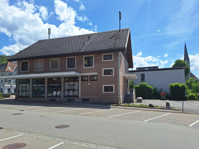 Gewerblich genutztes Haus in zentraler Lage