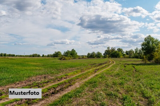 Landwirtschaftlich genutztes Grundstück + provisionsfrei +