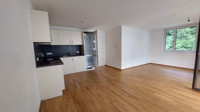 moderne, neuwertige 3-Zi-Terrassenwohnung ein paar Fußminuten ins Zentrum