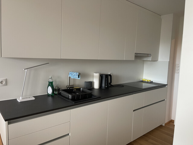 Möblierte 3-Zimmer-Wohnung mit 79 m², neuer Einbauküche und verglastem Balkon in Bregenz-Reutegasse