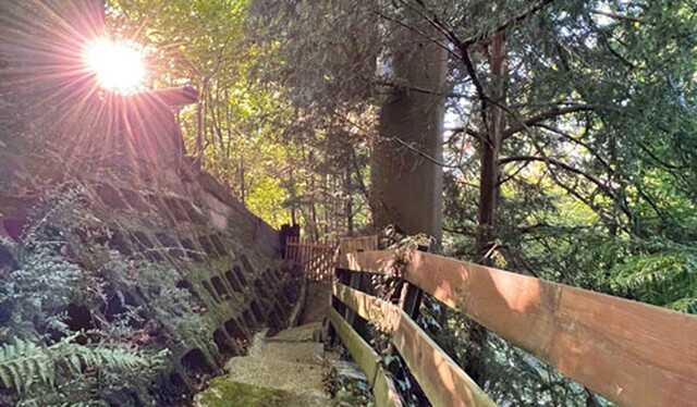 Exklusivstes Grundstück am Pfänderhang