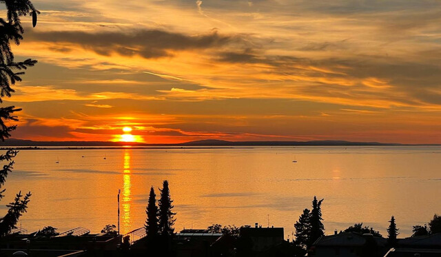 Exklusivstes Grundstück am Pfänderhang