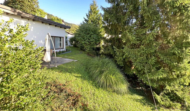 Exklusivstes Grundstück am Pfänderhang