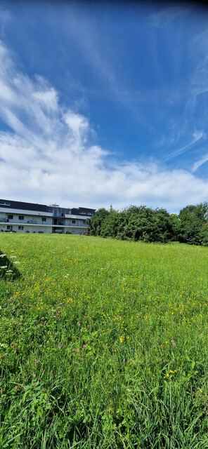 Neues, modernes  Einfamilienhaus inkl. Grundstück in Altach!
