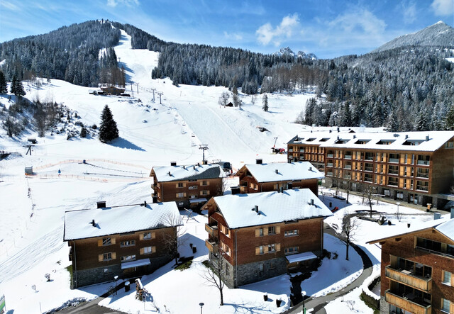 Aussicht garantiert – Attraktive Ferienwohnung am Bürserberg