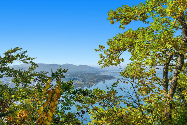 Einmalige Chance: Einfamilienhaus mit Bodenseeblick!