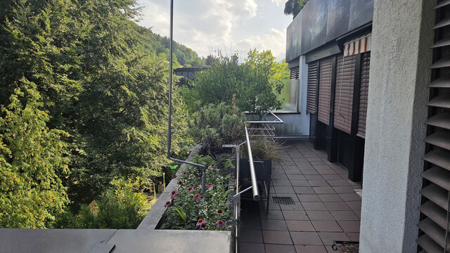 Wohnung mit großer Terrasse im Reichenfeld