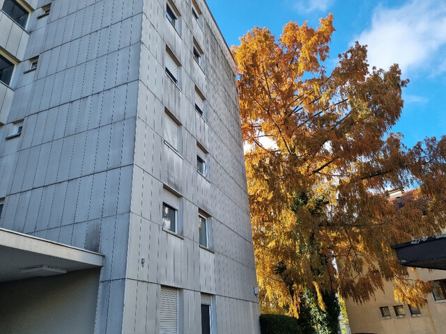 URBAN LEBEN, SEE GENIESSEN – EIGENTUMSWOHNUNG IN BREGENZ