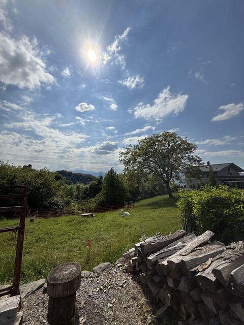 Leistbares schönes Grundstück mit altem Bauenhof (Renovierungsbedürftig) In Hohenems Emsreute
