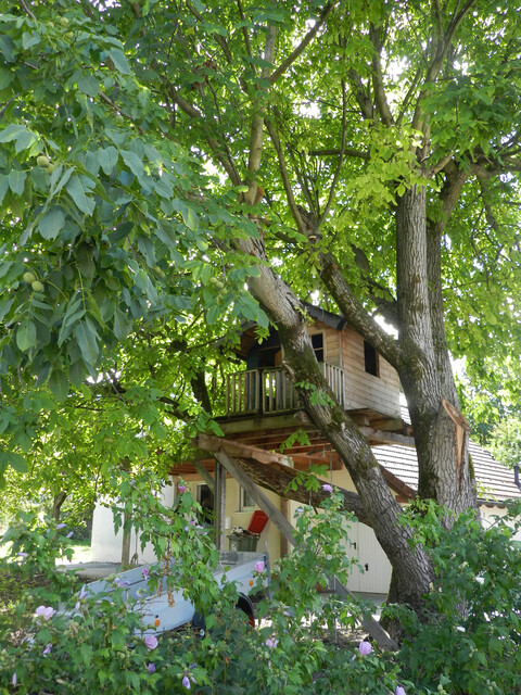 Gemütliches Einfamilienhaus mit großem Garten in Hörbranz!
