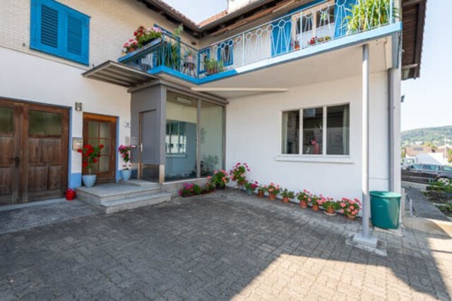 schöne, grosszügige Wohnung mit ruhigem Garten 