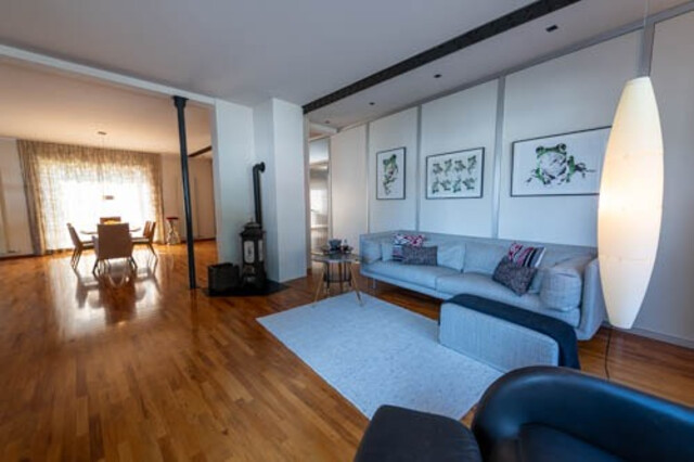 schöne, grosszügige Wohnung mit ruhigem Garten 