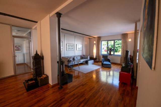 schöne, grosszügige Wohnung mit ruhigem Garten 