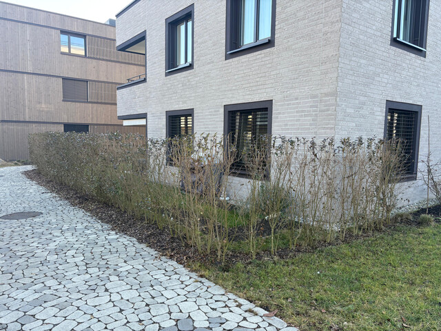 Neubau Gartenwohnung mit Terrasse, großem Garten und Tiefgaragenplatz in Top-Lage!