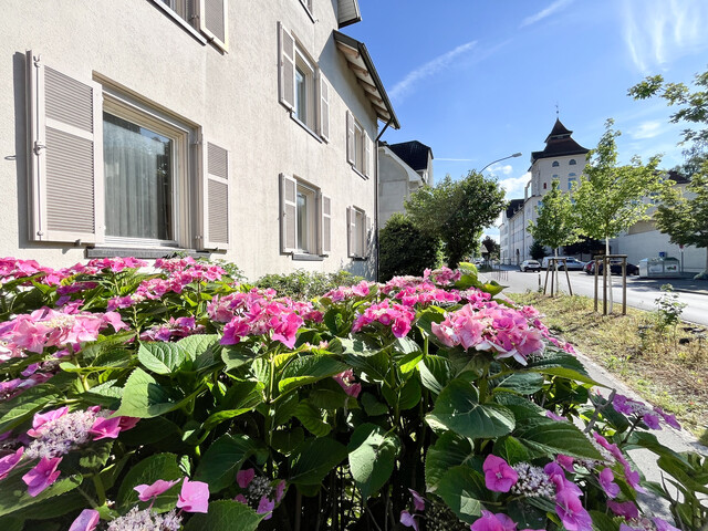 Charme trifft Potenzial – geräumiges Stadthaus auf großem Grundstück in guter Lage zu verkaufen!