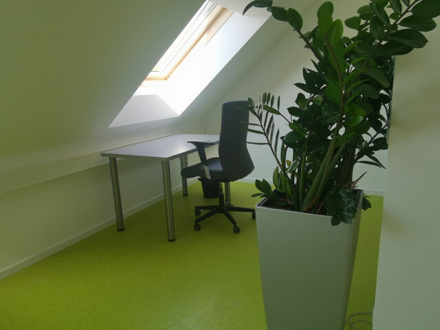 Neubau - Kleinbüro - Shared Office