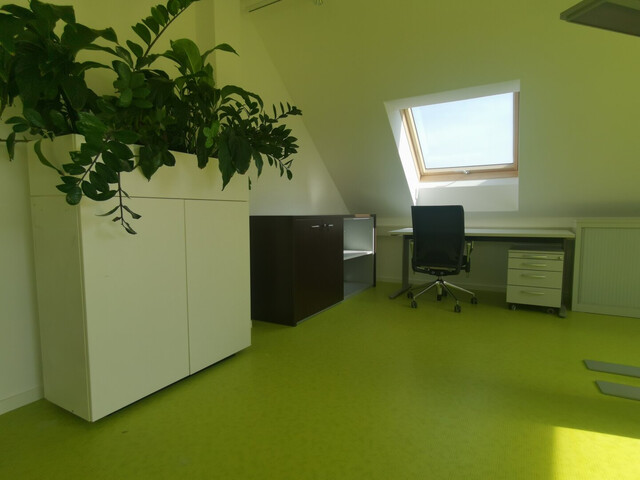 Neubau - Kleinbüro - Shared Office