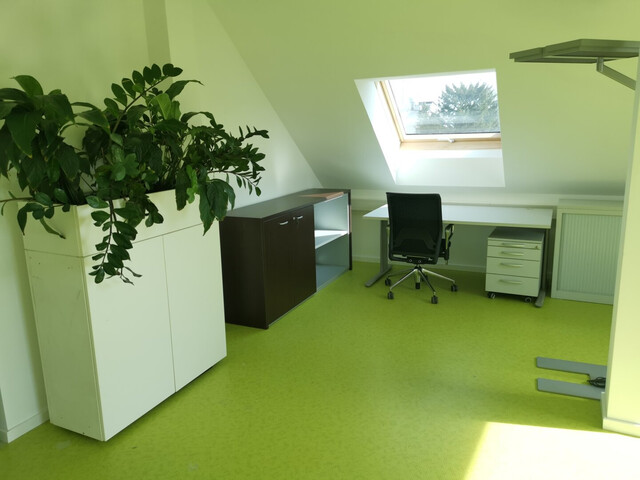 Neubau - Kleinbüro - Shared Office