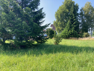 Naturnahes Grundstück in Koblach!