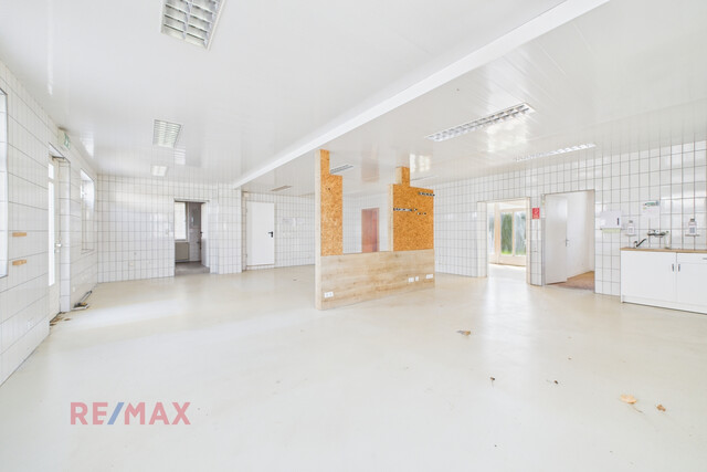 Ideal für Idealisten: Arbeiten und Wohnen im Herzen von Lochau