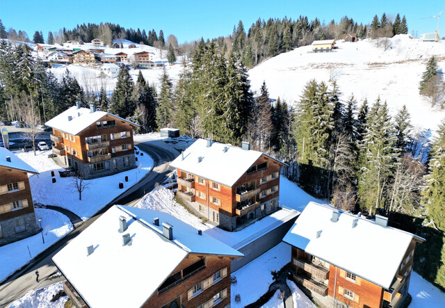 Fantastische Möglichkeit - Ferienwohnung und Geldanlage im schönen Brandnertal