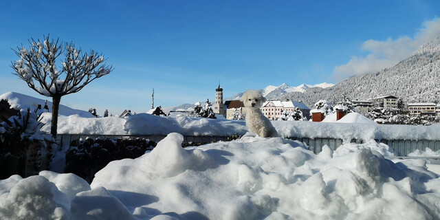 Exklusive Penthouse-Maisonette mit 100 m² Dachterrasse und Alpenpanorama!