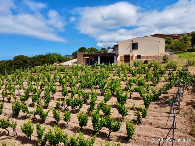 Mediterranes Anwesen mit Weinberg, Olivenhain & Meerblick – Badesi, Sardinien