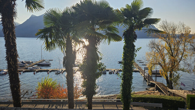 Ferienwohnung am Lago Maggiore in einer Jugendstilvilla am See