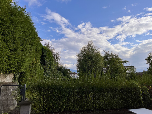 3,5-Zimmer Gartenwohnung