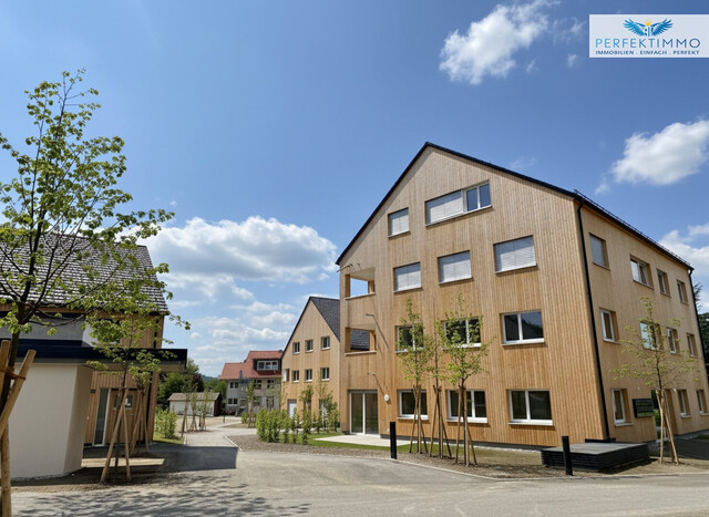 Anlegerwohnung in Hohenweiler - Neubau!