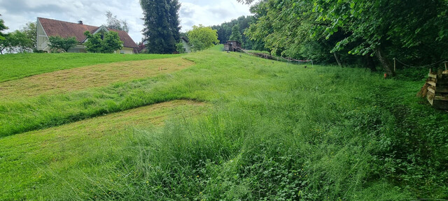 Idyllisches Grundstück in Hohenweiler! Der ideale Platz für dein Traumhaus!