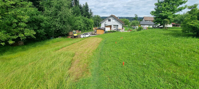 Idyllisches Grundstück in Hohenweiler! Der ideale Platz für dein Traumhaus!