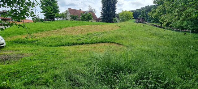 Idyllisches Grundstück in Hohenweiler! Der ideale Platz für dein Traumhaus!