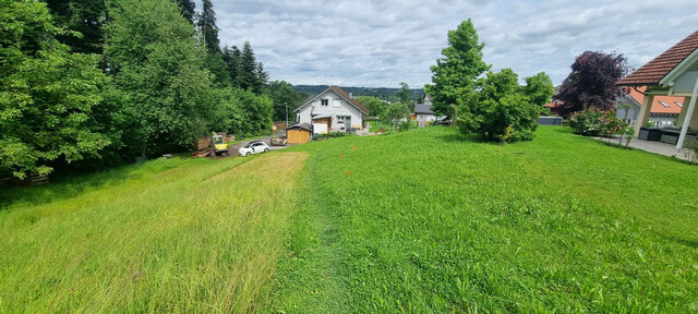 Idyllisches Grundstück in Hohenweiler! Der ideale Platz für dein Traumhaus!