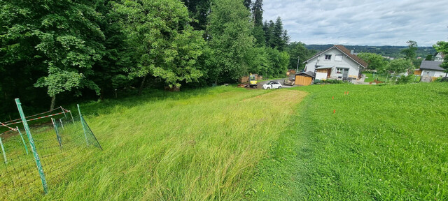 Idyllisches Grundstück in Hohenweiler! Der ideale Platz für dein Traumhaus!